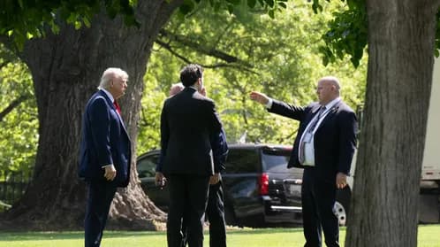 Trump Plans UFC Fight on White House Grounds for 250th Birthday Bash