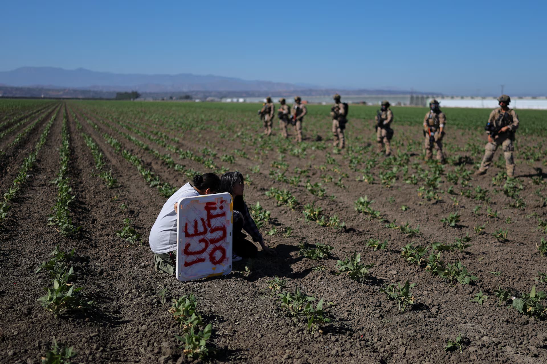 200 Arrested as Federal Agents Turn Cannabis Farm into War Zone