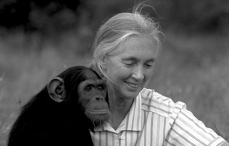 Jane Goodall, renowned conservationist, dies aged 91