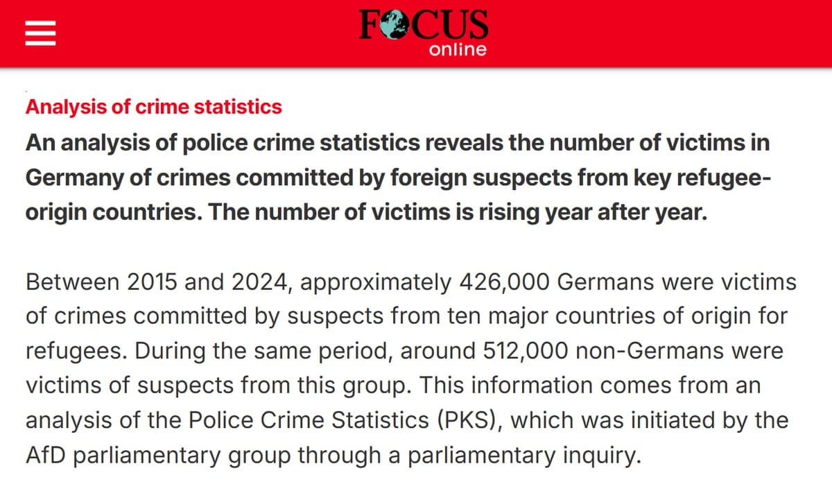 Over 425,000 Germans victims of crimes by refugees from 2015 to 2024