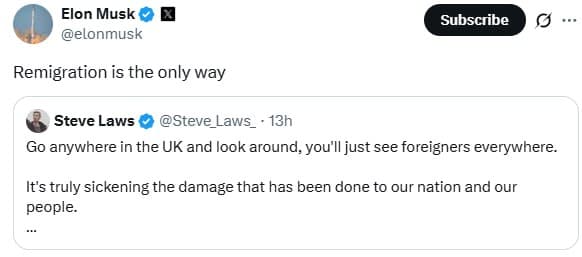 Elon Musk Advocates Urgent Remigration to Revive UK Identity
