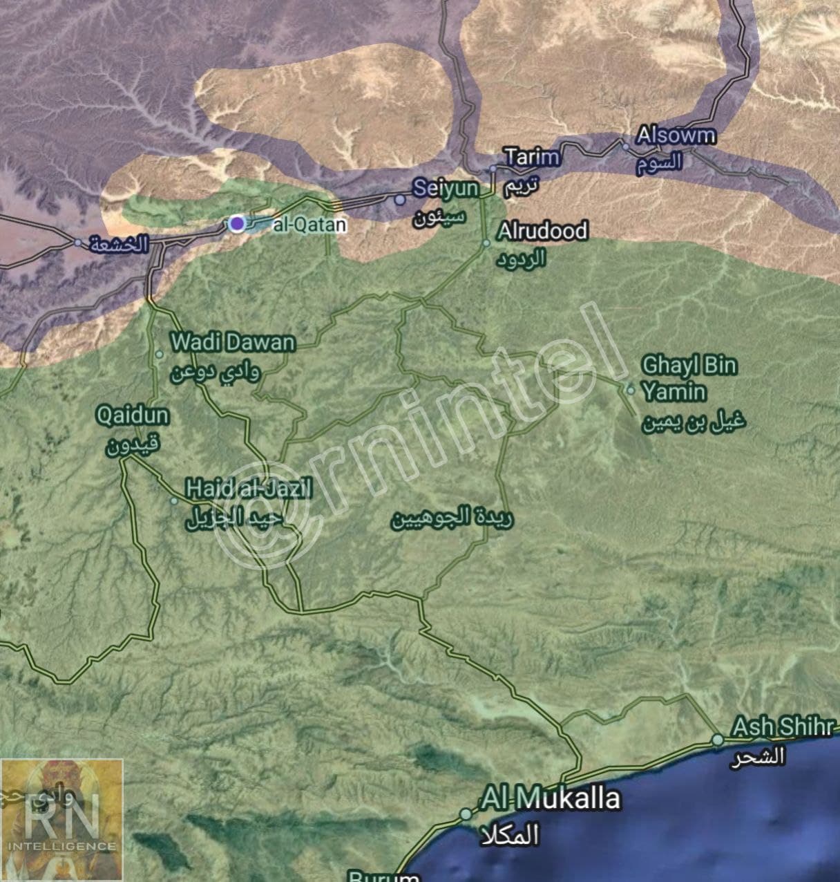 Al-Qatan falls to Saudi-backed Homeland Shield Forces in Hadhramaut