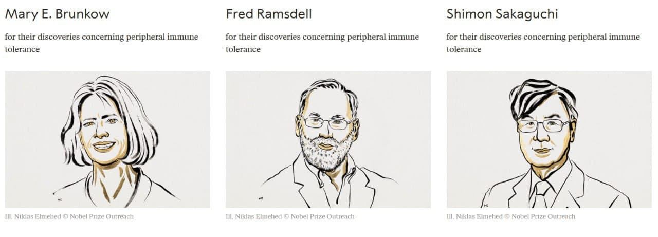 Featured image for: 2025 Nobel Prize in Physiology awarded to three scientists for immune tolerance discoveries 2025 Nobel Prize in Physiology awarded to three scientists for immune tolerance discoveries