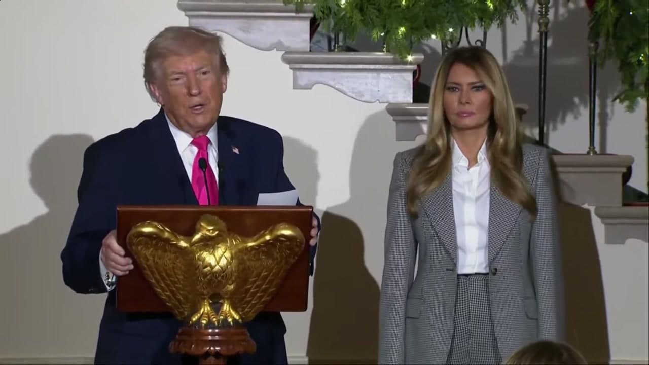 [Video] Trump announces plan to build arc by Arlington Bridge