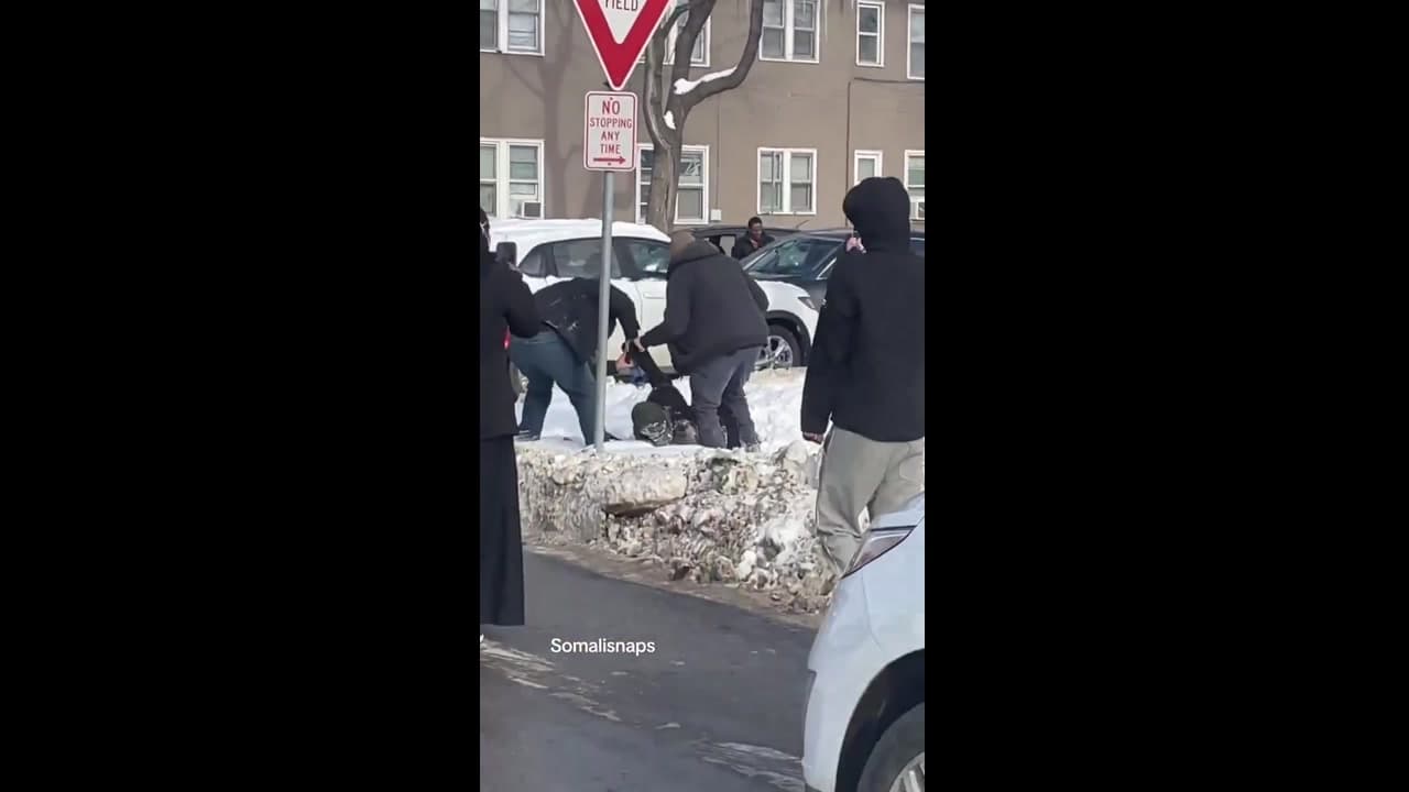[Video] ICE agents attacked by protesters in Minneapolis near Somali Karmel Mall
