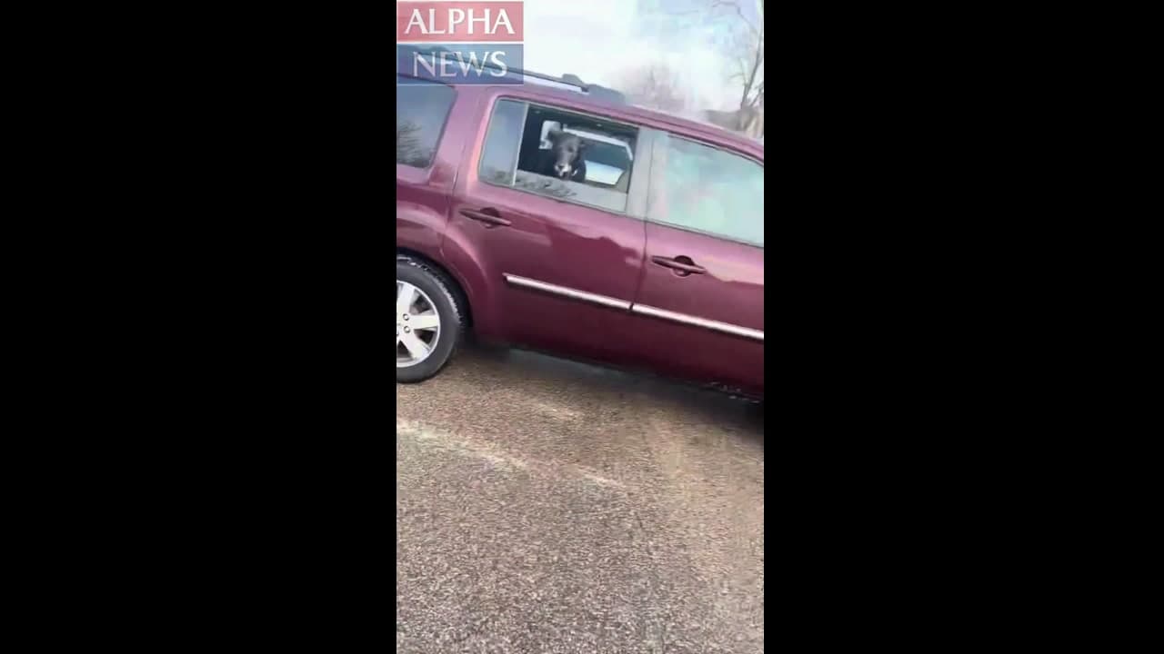 [Video] Footage shows Renee Good attempting to run over ICE officer