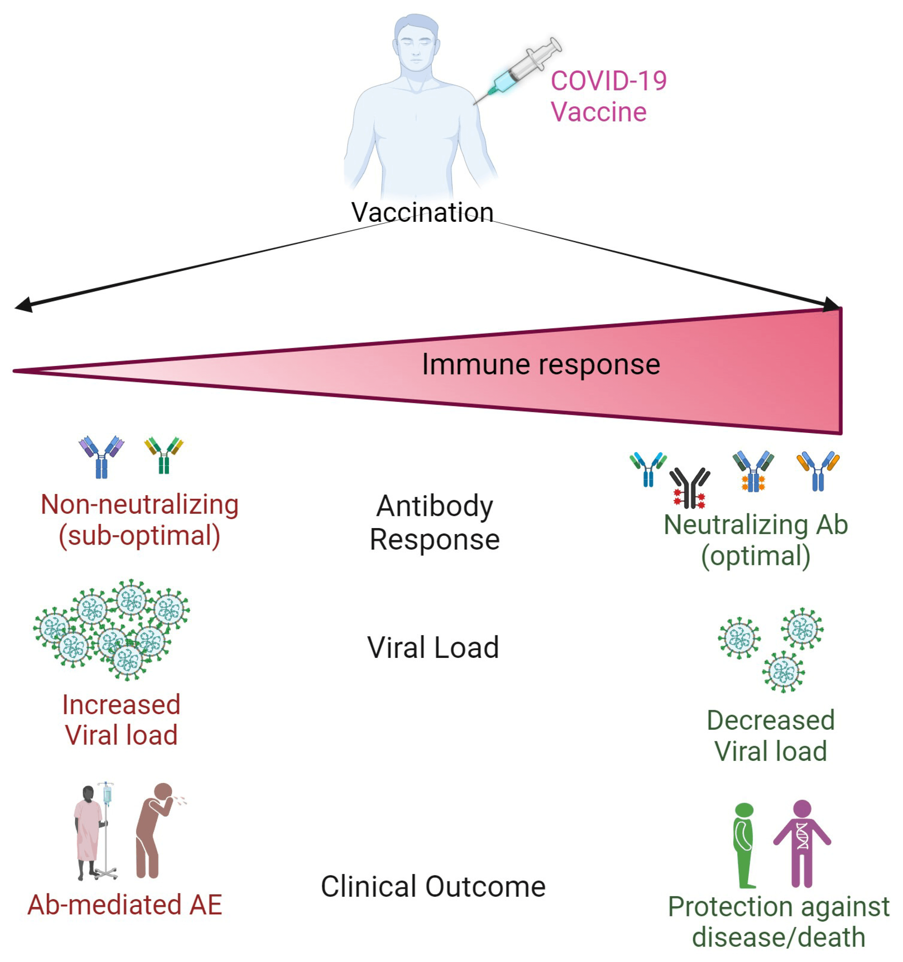 Featured image for: South Korean study finds increased cancer risks post-COVID injection South Korean study finds increased cancer risks post-COVID injection