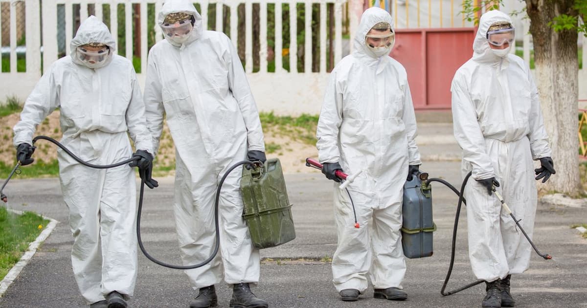 Featured image for: ECDC advises EU health ministers on actions to prevent bird flu pandemic ECDC advises EU health ministers on actions to prevent bird flu pandemic