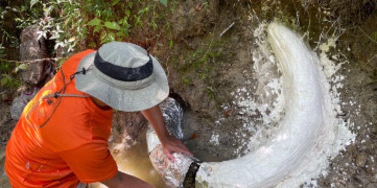 Featured image for: Scientists Unearth Massive 'Hot Blob' Under Appalachians, Threatening NYC's Geology Scientists Unearth Massive 'Hot Blob' Under Appalachians, Threatening NYC's Geology