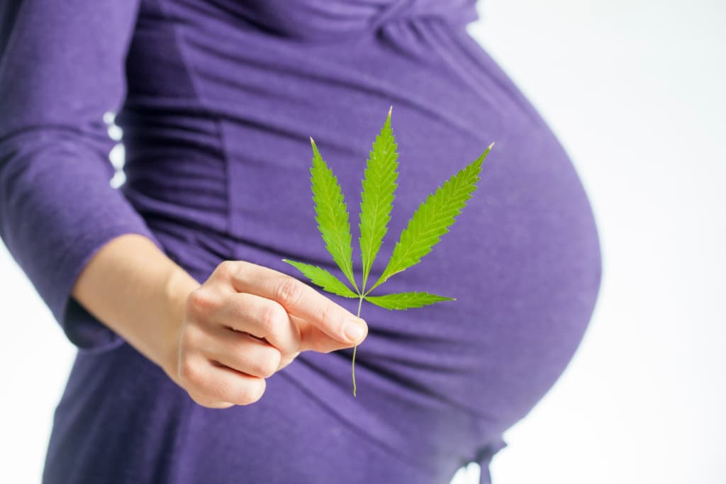 Studies show cannabis use reduces fertility in men and women
