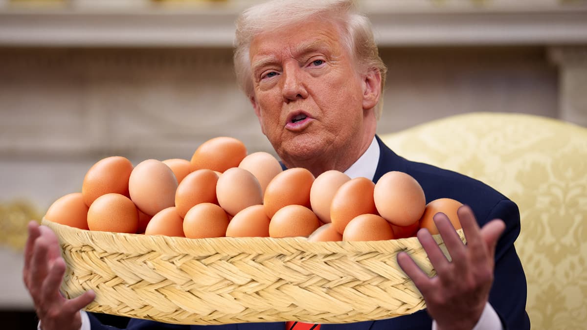 Denmark establishes 'shoot now, ask questions later' rules in Greenland