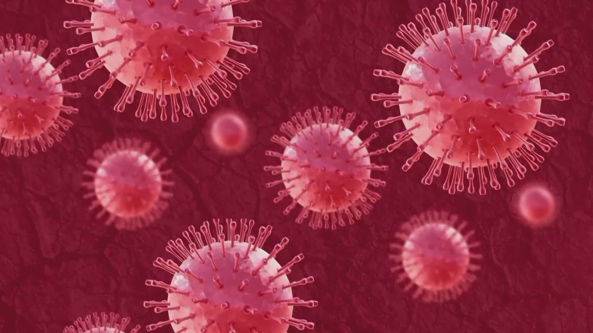 Featured image for: World Health Organization declares autism cannot be caused by vaccines World Health Organization declares autism cannot be caused by vaccines