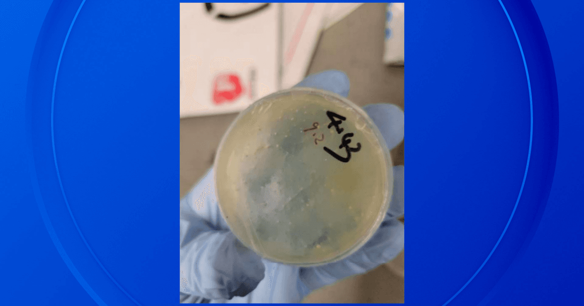 Featured image for: DOJ charges three Chinese nationals at University of Michigan for illegal import of biological materials DOJ charges three Chinese nationals at University of Michigan for illegal import of biological materials