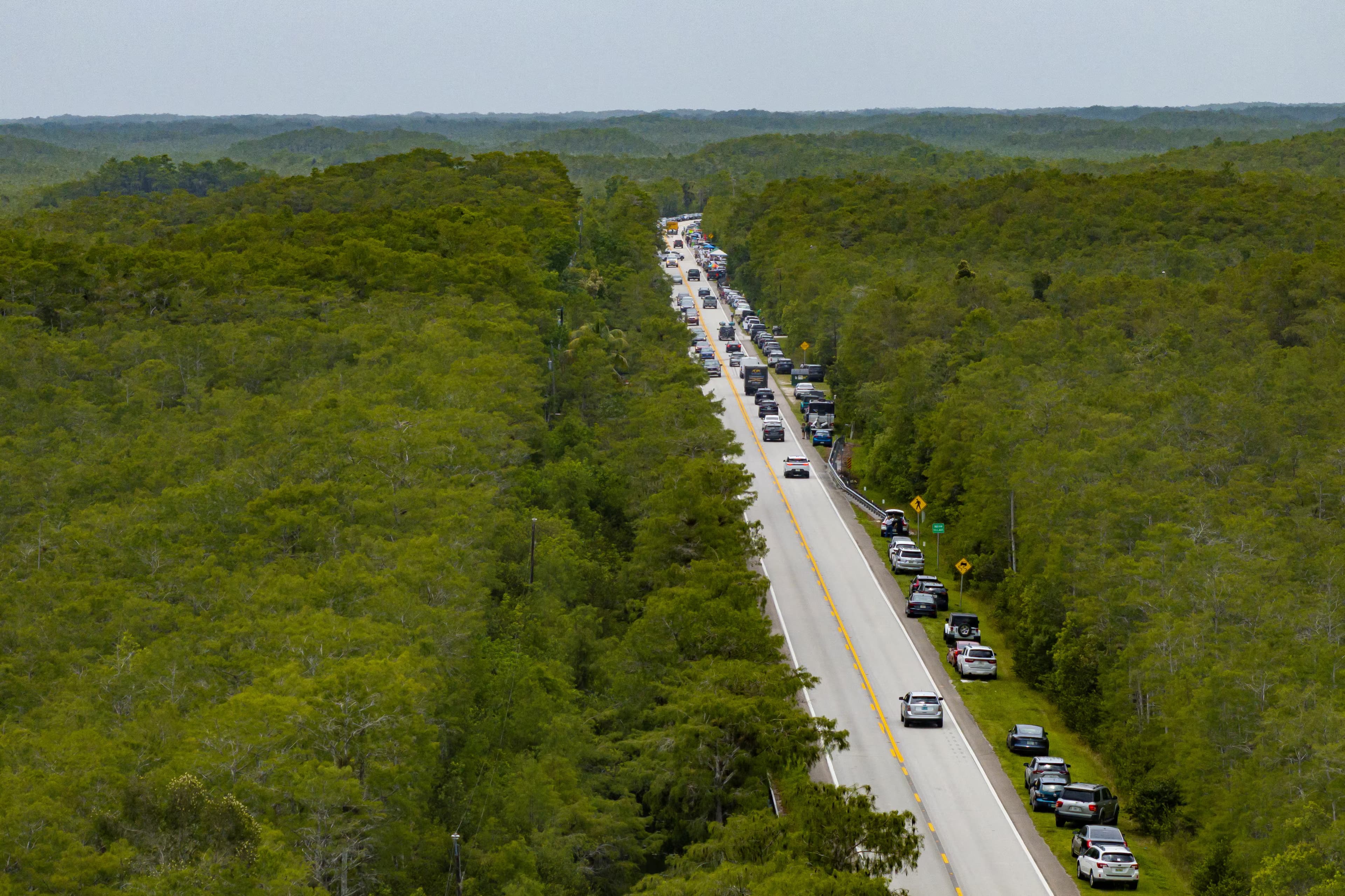 Featured image for: Florida Rushes Immigrant Detention Center in Everglades While Ignoring Environmental Catastrophe Florida Rushes Immigrant Detention Center in Everglades While Ignoring Environmental Catastrophe