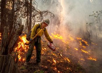 Featured image for: Five Firefighters Shot in Coeur d'Alene as Gun Violence Epidemic Hits First Responders Five Firefighters Shot in Coeur d'Alene as Gun Violence Epidemic Hits First Responders