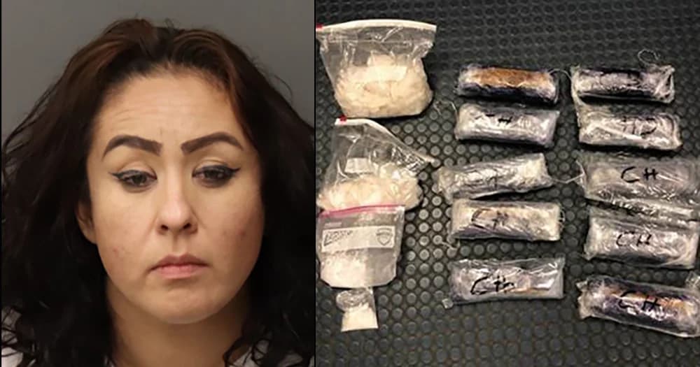 Featured image for: Canadian Mother Arrested by ICE Despite 25 Years of Tax Contributions and Support for Trump’s Deportation Policies Canadian Mother Arrested by ICE Despite 25 Years of Tax Contributions and Support for Trump’s Deportation Policies