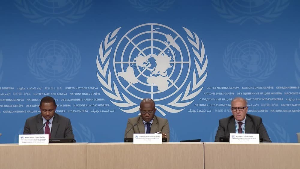 Featured image for: Wealthy Nations Face Reckoning as Asylum System Fails Millions Wealthy Nations Face Reckoning as Asylum System Fails Millions