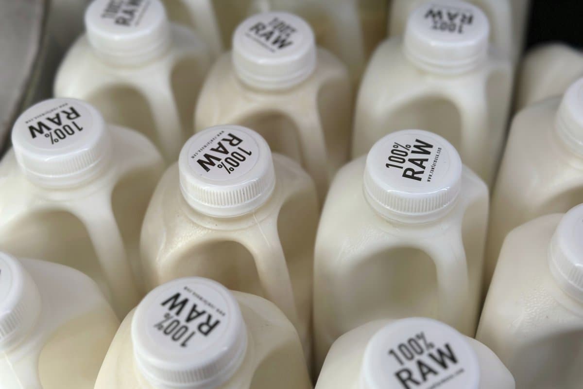 Featured image for: Florida Health Officials Warn After 21 E. Coli Cases Linked to Raw Milk Consumption Florida Health Officials Warn After 21 E. Coli Cases Linked to Raw Milk Consumption