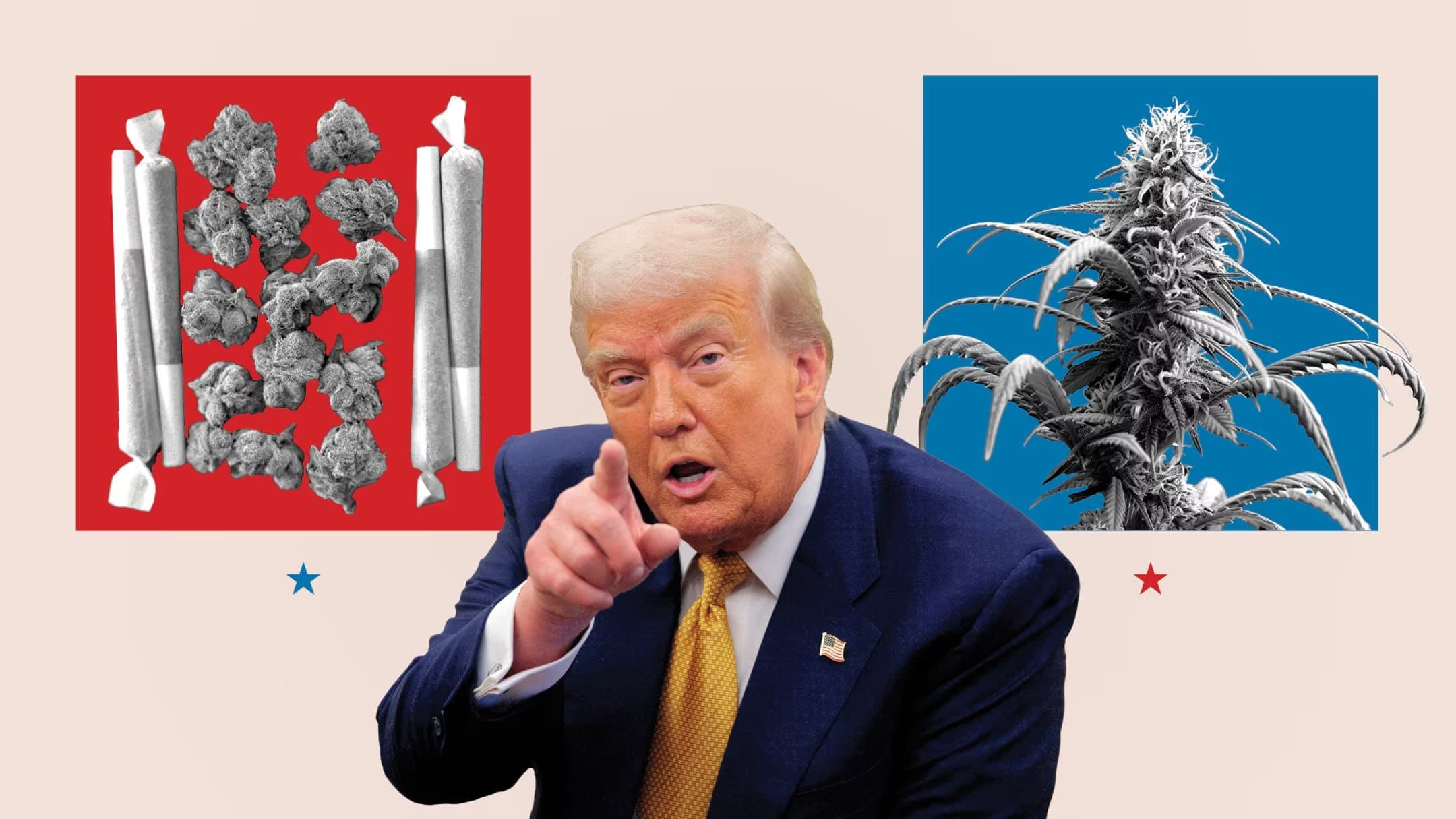 Featured image for: Trump Pledges to Reclassify Marijuana, Aiming to End Unnecessary Arrests and Stalled Federal Reform Trump Pledges to Reclassify Marijuana, Aiming to End Unnecessary Arrests and Stalled Federal Reform