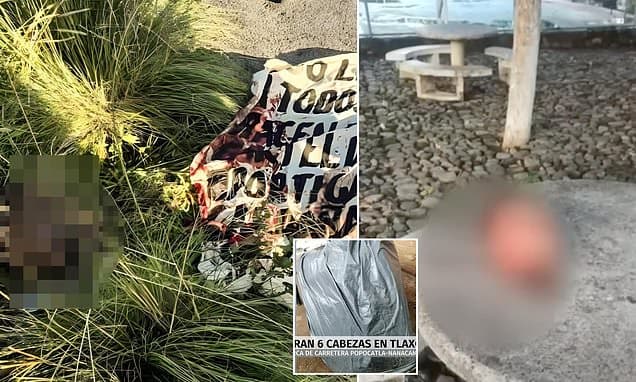 Featured image for: Breaking: Six Severed Heads Discovered on Puebla-Tlaxcala Highway, Cartel Violence Escalates Breaking: Six Severed Heads Discovered on Puebla-Tlaxcala Highway, Cartel Violence Escalates