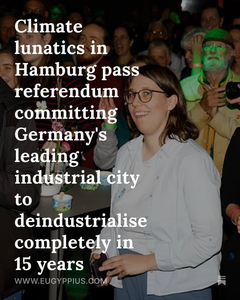 Featured image for: Hamburg commits to carbon neutrality by 2040 in low-turnout referendum Hamburg commits to carbon neutrality by 2040 in low-turnout referendum