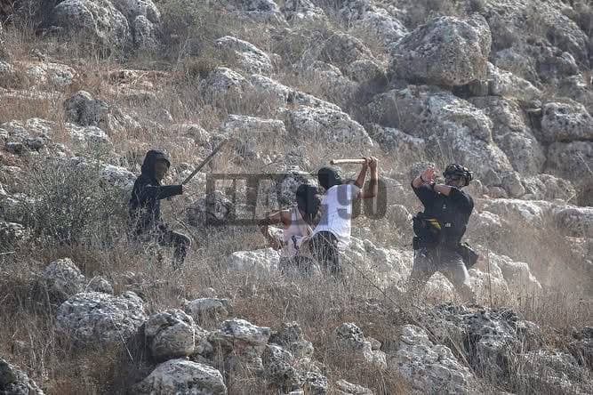 Featured image for: Israeli settlers attack and beat two Palestinian journalists in West Bank Israeli settlers attack and beat two Palestinian journalists in West Bank