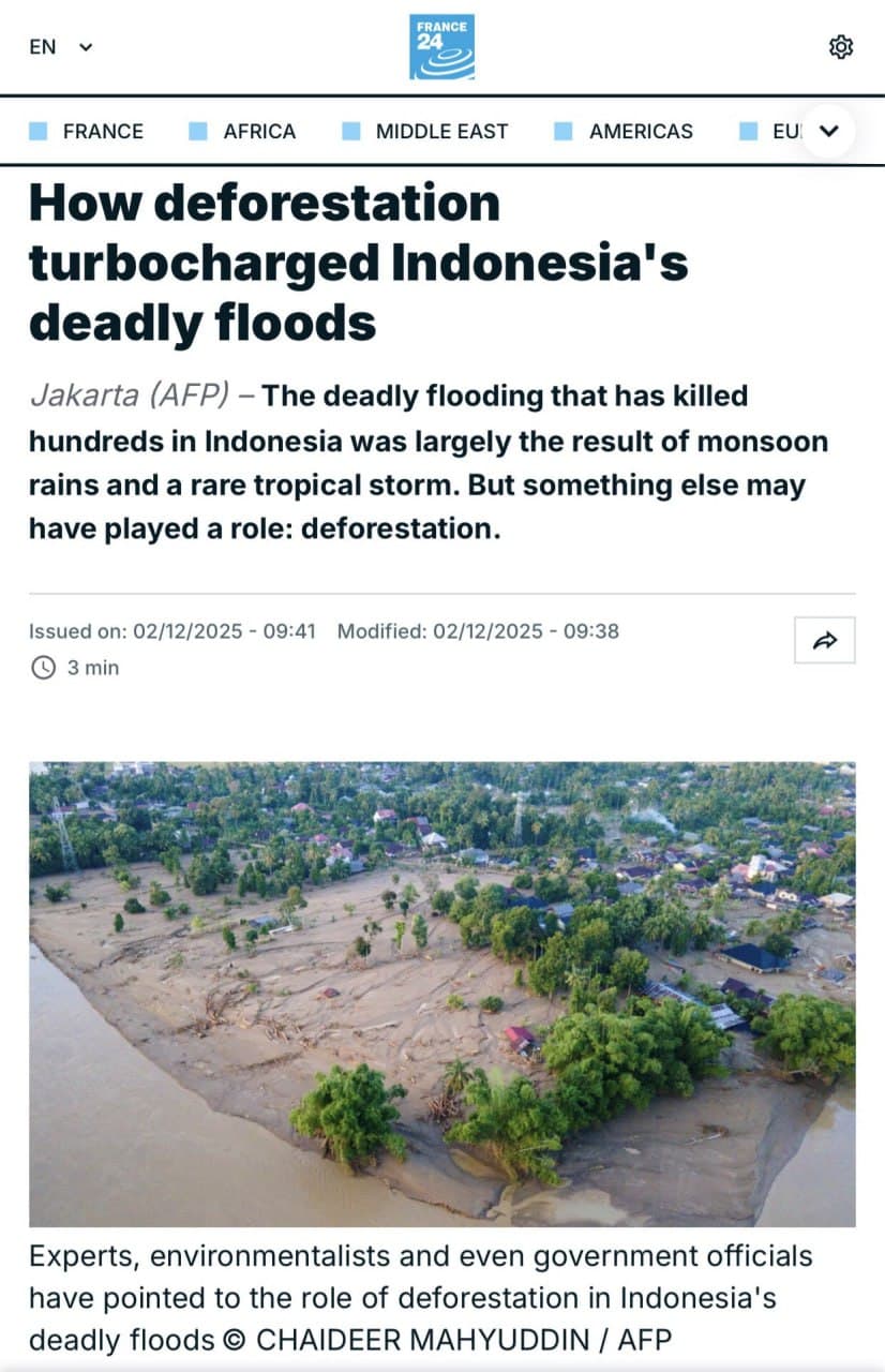 Featured image for: 700 dead in Indonesia flooding linked to deforestation and logging 700 dead in Indonesia flooding linked to deforestation and logging