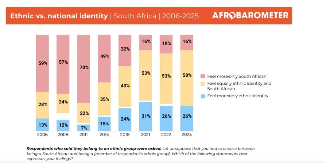Afrobarometer: Ethnic identity among South Africans rises, national identity drops