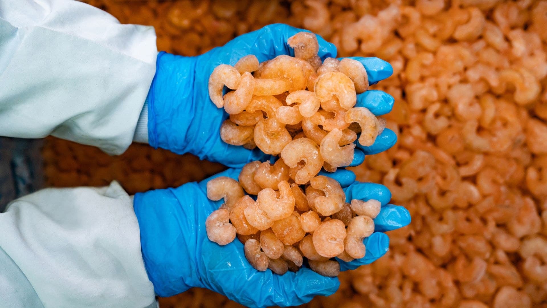 Featured image for: Breaking: FDA Warns of Radioactive Shrimp, Walmart Recalls in 13 States Breaking: FDA Warns of Radioactive Shrimp, Walmart Recalls in 13 States