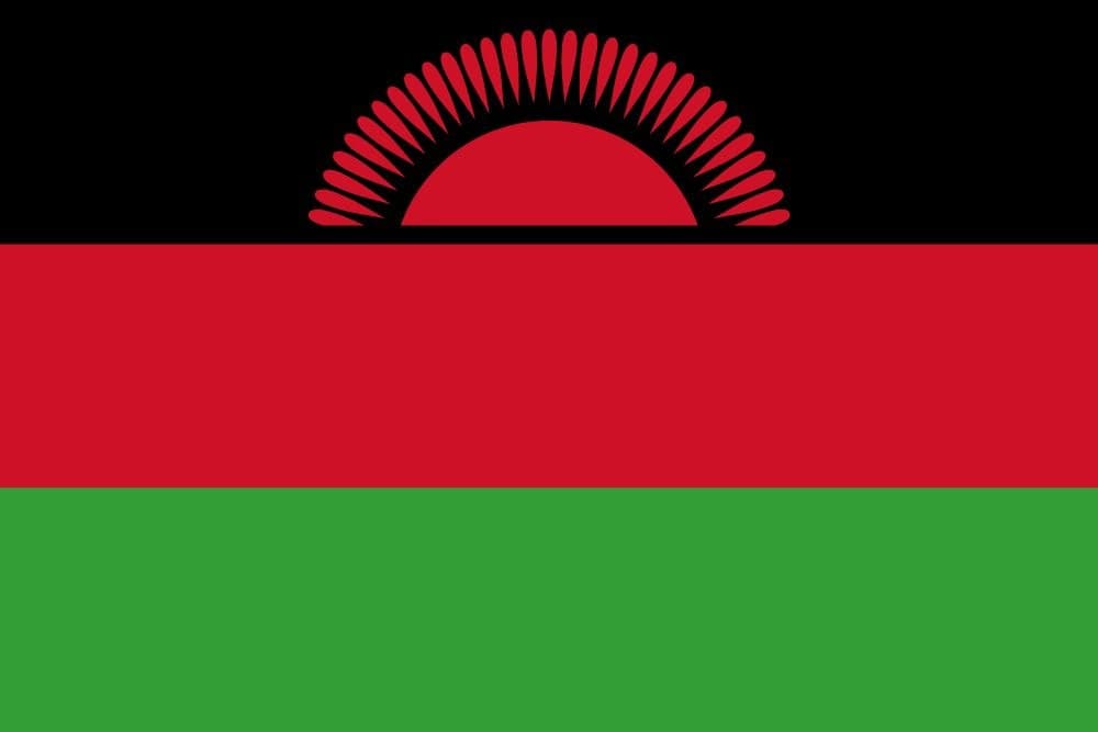 Featured image for: Peter Mutharika wins Malawi's presidential election with 56.8% of vote Peter Mutharika wins Malawi's presidential election with 56.8% of vote