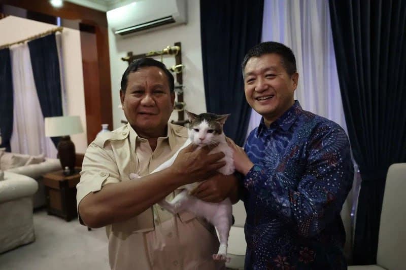 Featured image for: Indonesian president's cat receives state protection amid public attention Indonesian president's cat receives state protection amid public attention