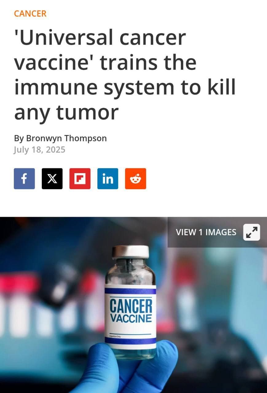 Featured image for: Florida scientists develop universal cancer vaccine showing promise in mice Florida scientists develop universal cancer vaccine showing promise in mice