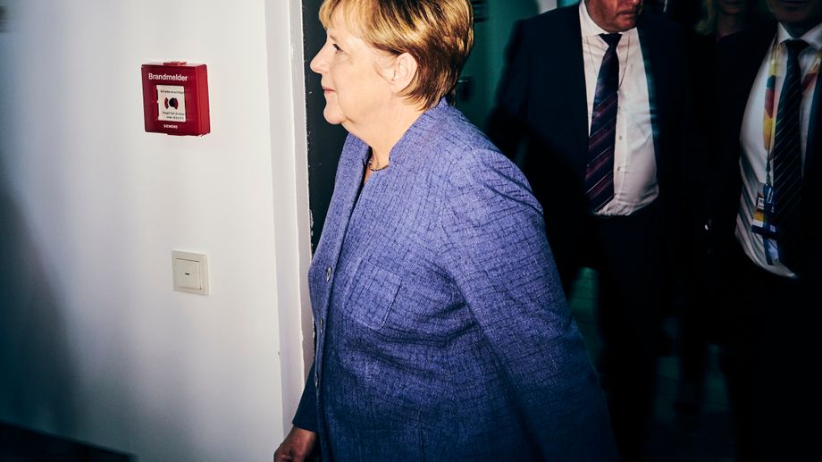 Image for Seven AfD Candidates Dead in Sudden Wave Before Local Elections