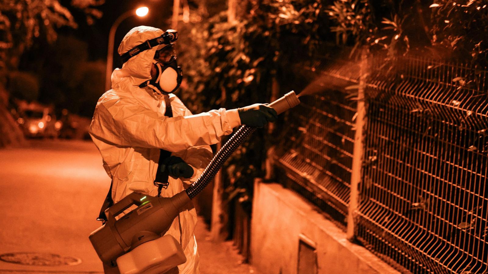 Image for New York reports first locally acquired chikungunya case in six years