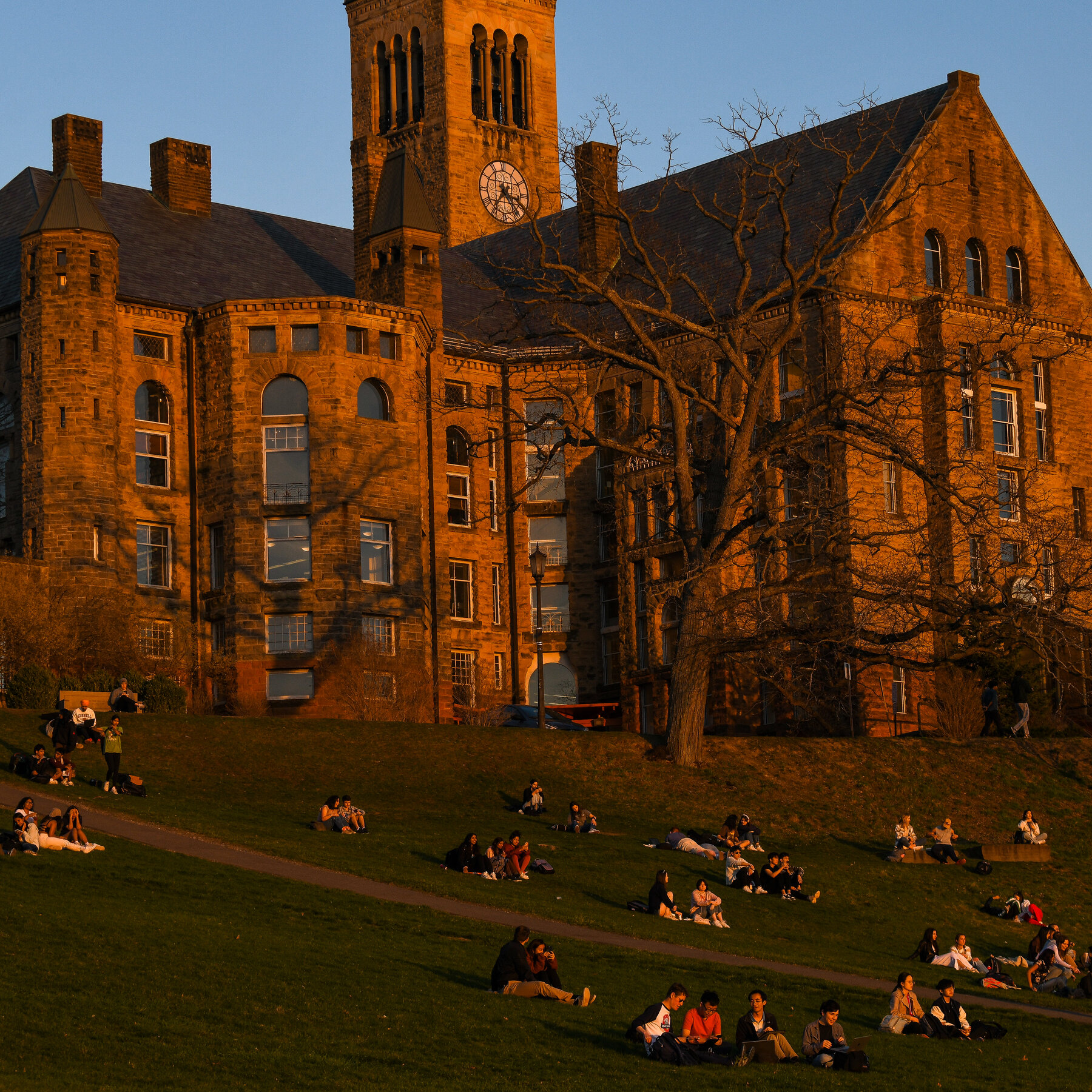 Image for Cornell University restores federal funding after agreement with Trump admin