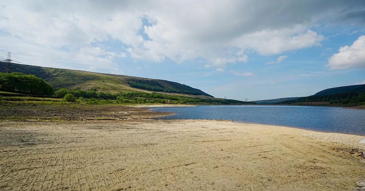 Image for UK water companies and government prepare emergency plans for 2026 drought