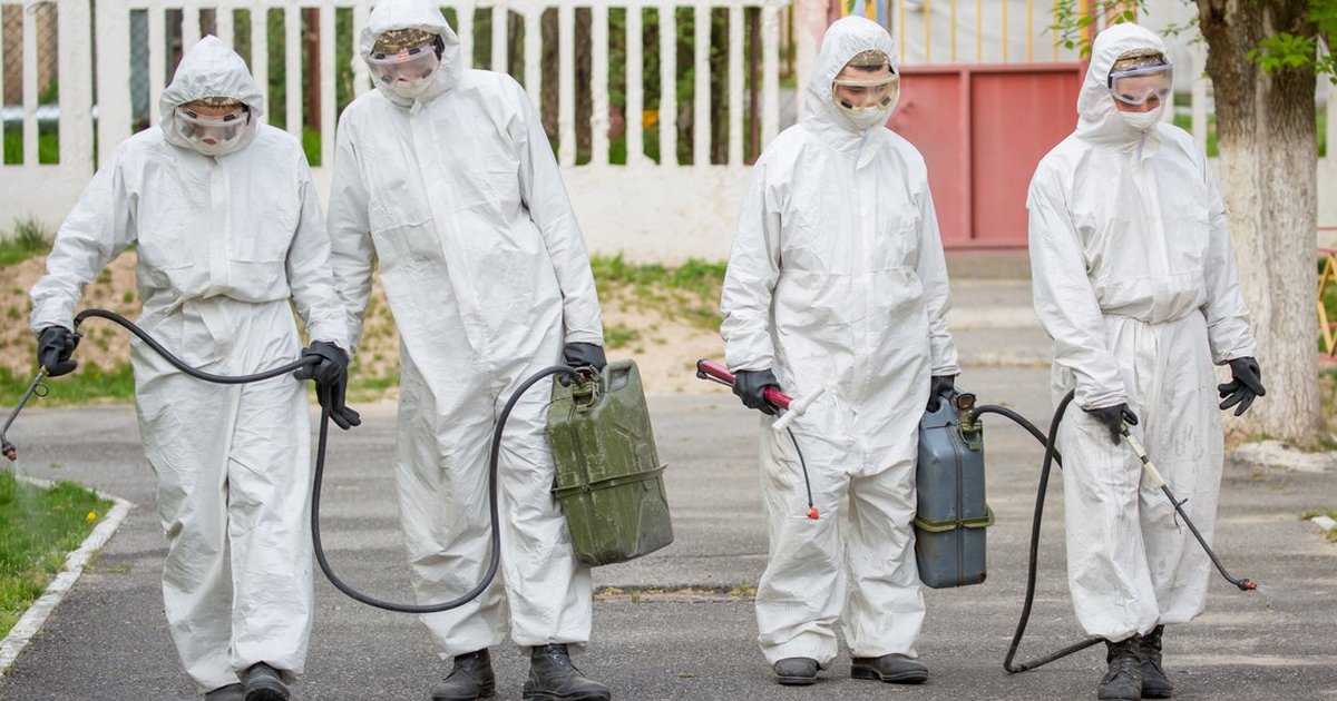 ECDC advises EU health ministers on actions to prevent bird flu pandemic