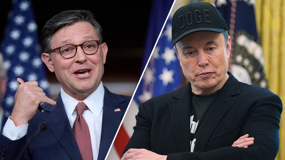 Image for Elon Musk funds GOP House and Senate campaigns for 2026 midterms