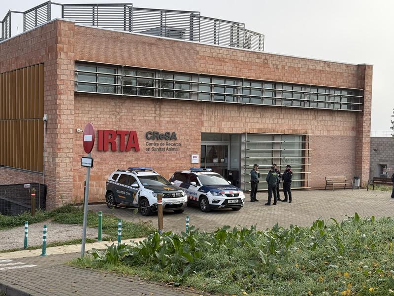 Image for Spanish police raid IRTA-CReSA laboratory in African swine fever probe