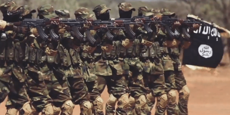 Image for Fears Rise as Al-Shabab Strengthens: Mogadishu