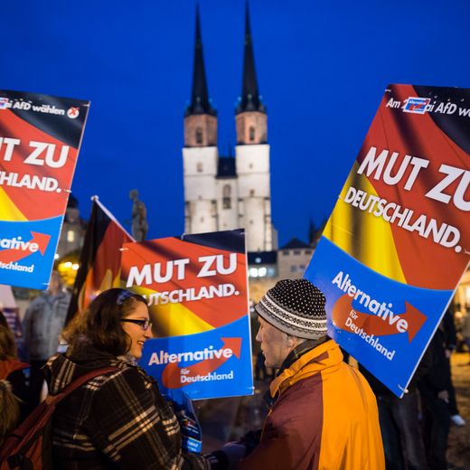 Image for Community Project Champions White Identity Politics Amid Growing Legal Challenges