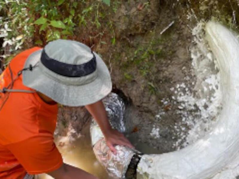 Image for Scientists Unearth Massive