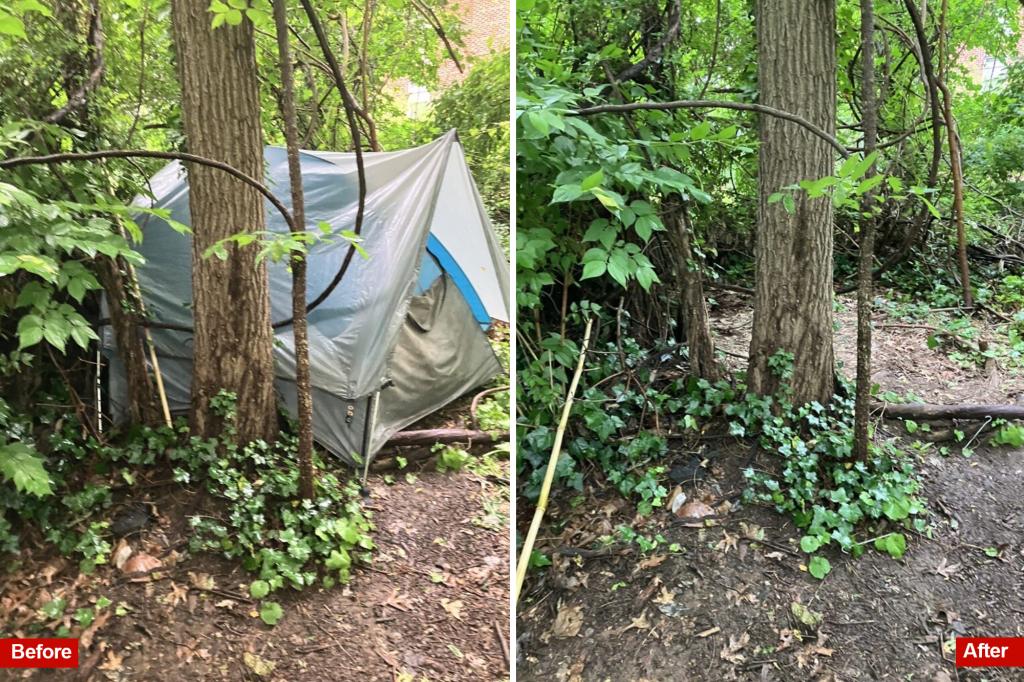 Image for US Park Police Clear 75 Homeless Camps in DC Under Trump’s ‘Safe and Beautiful’ Order