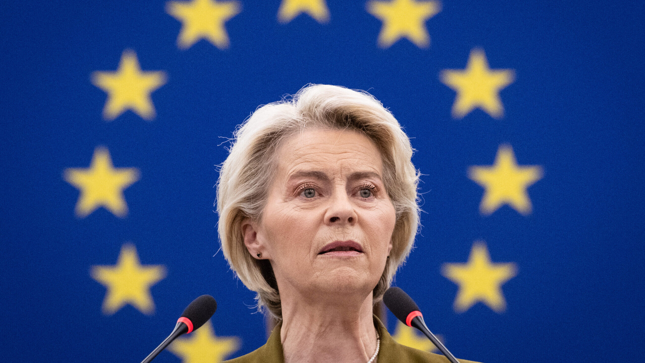 Image for Hungary Files Second No-Confidence Motion Against von der Leyen