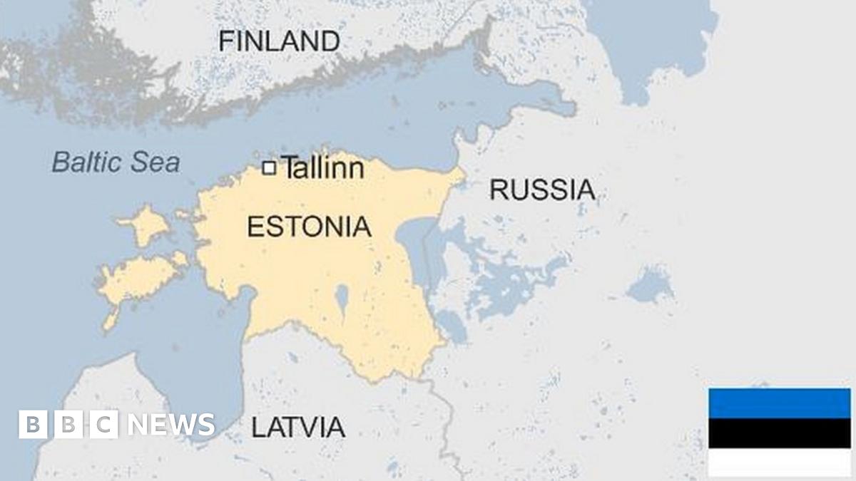 Image for Estonia Joins Poland and Latvia in No-Fly Zone Over Russia