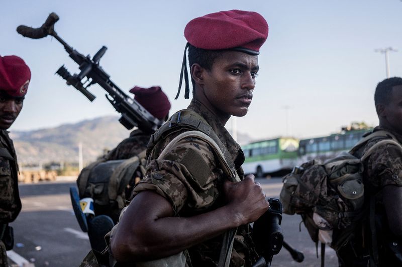 Image for Ethiopia faces separatism as armed groups open combat fronts