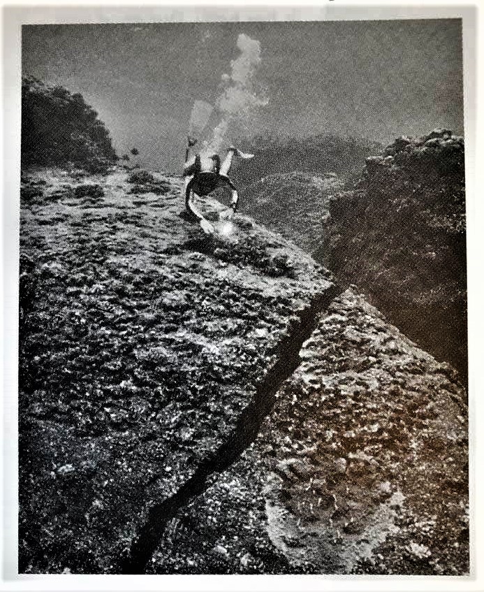 Image for 2,500 bombings occurred on American soil in 18 months during 1970s