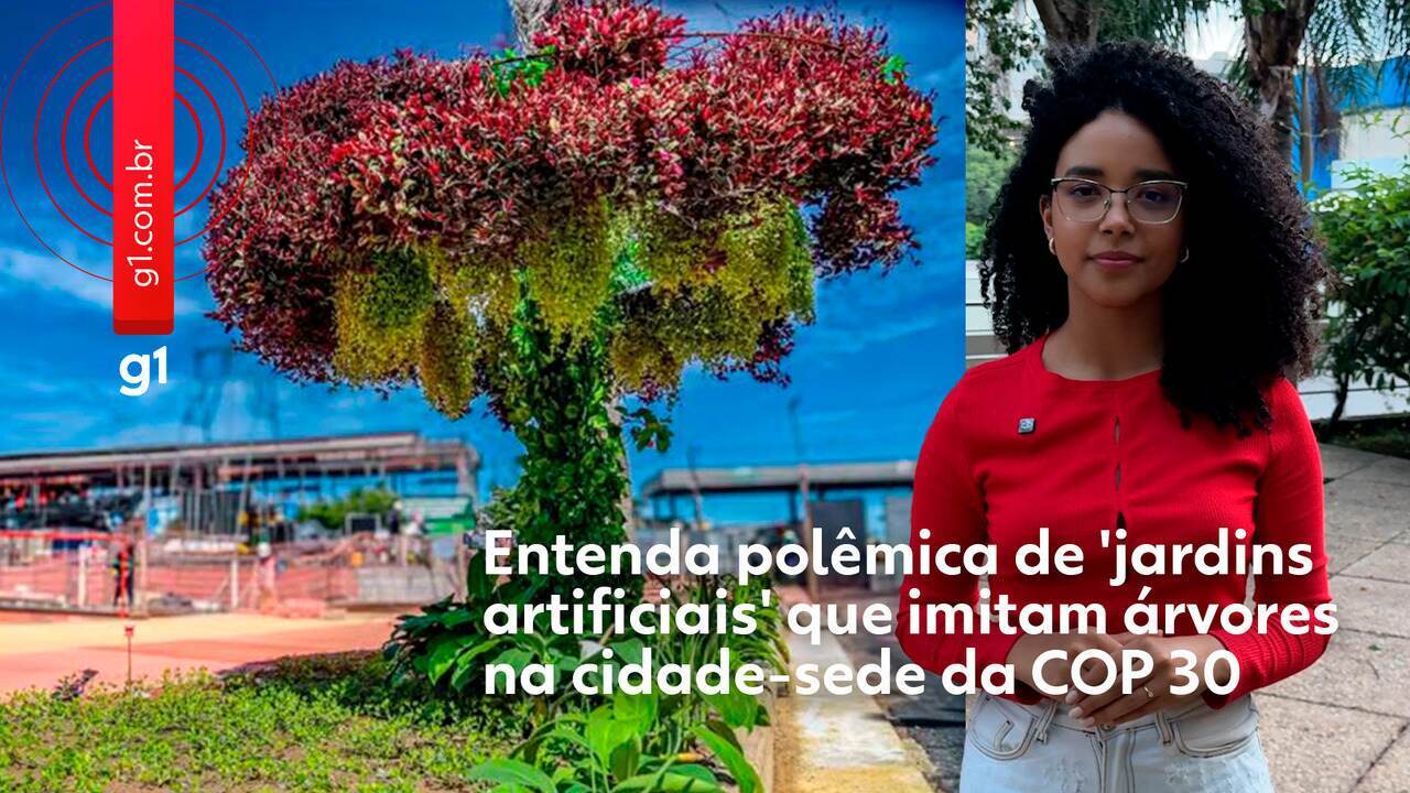 Belém's 'eco-trees' renamed to 'hanging gardens' amid COP30 controversy