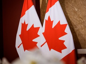 Image for Dominion Society of Canada plans to expand Remigration efforts in 2026