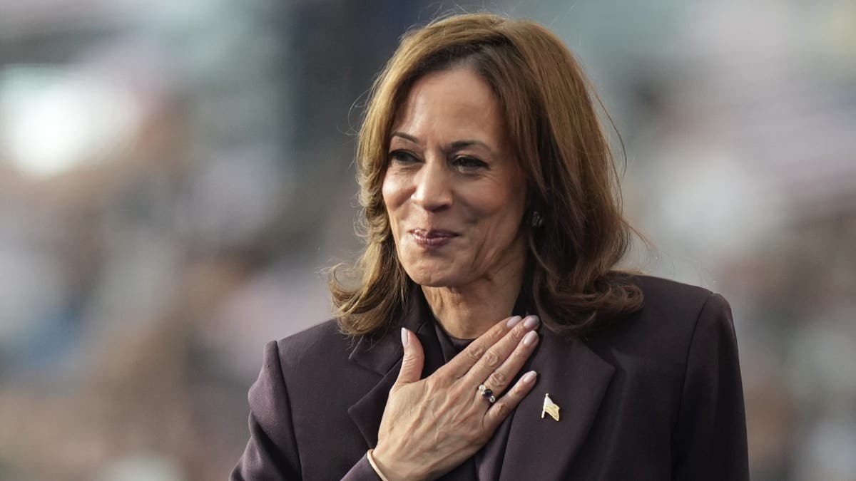 Image for Kamala Harris says Trump has